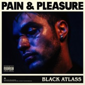 Pain & Pleasure artwork