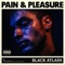 Pain & Pleasure artwork