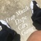 Trap Muzik (feat. Lil Spill & Da Damn Sen) - Dxpe City Gang lyrics