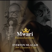 Mwari Hamushanduki (feat. Benjamin Dube) artwork