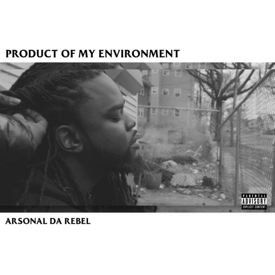 Cover artwork for Product of My Environment