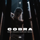 Cobra (feat. Any Mello) artwork