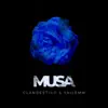 Stream & download Musa - Single