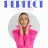 Perfect - Single