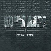 אחכה artwork