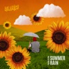 Laying in the Summer Rain - Single