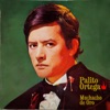 Palito Ortega Cronología - Muchacho de Oro (1969)