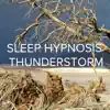 !!!" Sleep Hypnosis Thunderstorm "!!! album lyrics, reviews, download