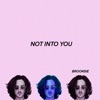 Not Into You - Single