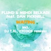 Waiting (feat. Dan Picknell)