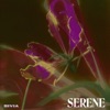 Serene - Single