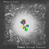 Bears in Trees - Fresh Concrete