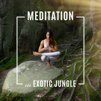 Relaxing Nature Sounds Collection - Meditation in Exotic Jungle: Spiritual Awakening, Wild Nature, Tropical Background Music, Yoga, Reiki, Ultimate Relaxation Experience, Tranquility for Rest artwork