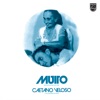 Caetano Veloso - Terra
