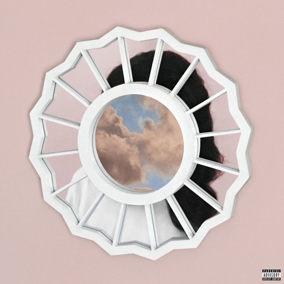 Cover artwork for Skin