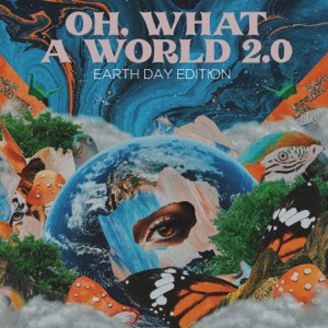 Kacey Musgraves - Oh, What a World 2.0 (Earth Day Edition) - 排舞 音樂