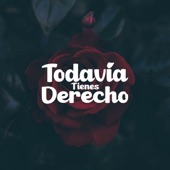 Todavía Tienes Derecho artwork