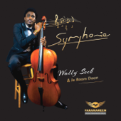 Symphonie (feat. Le Raam Daan) - Wally B. Seck