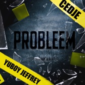 Probleem artwork