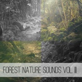 Forest Nature Sounds, Vol. III artwork