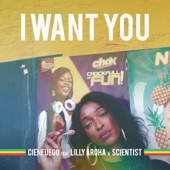 I Want You (feat. Lilly Aroha) artwork