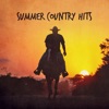Whiskey Country Band - Summer Country Hits