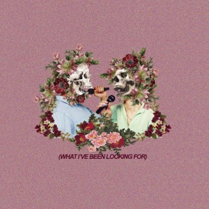What I've Been Looking For - Single