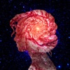 Galaxies - Single