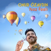 Naz Faslı artwork