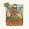 Yallegó - Single album lyrics, reviews, download