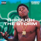 Through the Storm artwork