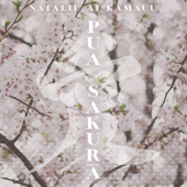 Pua Sakura