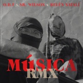 Musica (Remix) [feat. Sr. Wilson & Belén Natalí] artwork