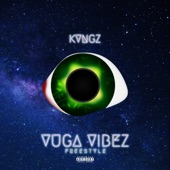 V.V(Vuga Vibes Freestyle) artwork