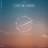 Can't Be Fixed artwork