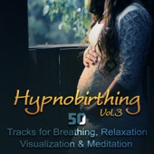 Hypnobirthing: Vol. 3 - 50 Tracks for Breathing, Relaxation, Visualization & Meditation, Soothing Nature Music to Deep Hypnosis, Calmness & Serenity, Natural Birthing artwork