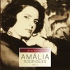 Amália Rodrigues - Gaivota (feat. Pedro Leal & Fontes Rocha)