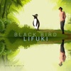 Blackbird - Single