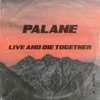 Live and Die Together - Single