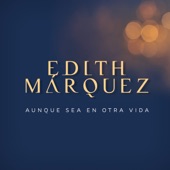 Aunque Sea En Otra Vida artwork