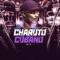 Charuto Cubano (feat. DJ Bill & DJ Paulo Mix) - MC TG lyrics