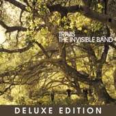 The Invisible Band (Deluxe Edition) artwork