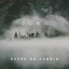 Down bad (feat. Psr Gxssedout) - Single album lyrics, reviews, download