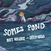 Somes Pond (feat. Max Allard, Joe K. Walsh, Mark Kilianski, Mike Block, Bronwyn Keith-Hynes & Mike Marshall) - Single album lyrics, reviews, download