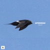 Apodidae - Single