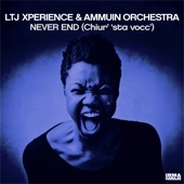 LTJ Xperience/Ammuin Orchestra - Never End (Long Version)