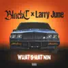 What's Hat'nin (feat. Larry June) - Single album lyrics, reviews, download