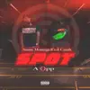 Spot a Opp (feat. 10k.Caash) - Single album lyrics, reviews, download