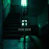 Son Kez - Single album lyrics, reviews, download