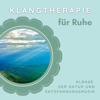 Klangtherapie für Ruhe - Waldbaden zu Hause mit Klänge der Natur und Entspannungsmusik